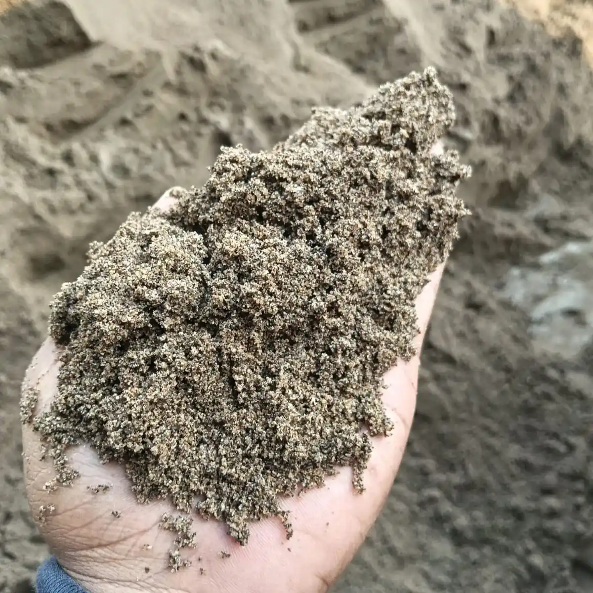 jual pasir jambi berkualitas untuk wilayah jabodetabek ready 24 jam